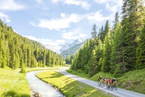 Cesta in makadamska pot